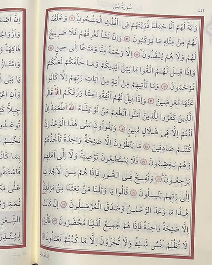Huge Size Quran with Easy-to-Read Script cover image