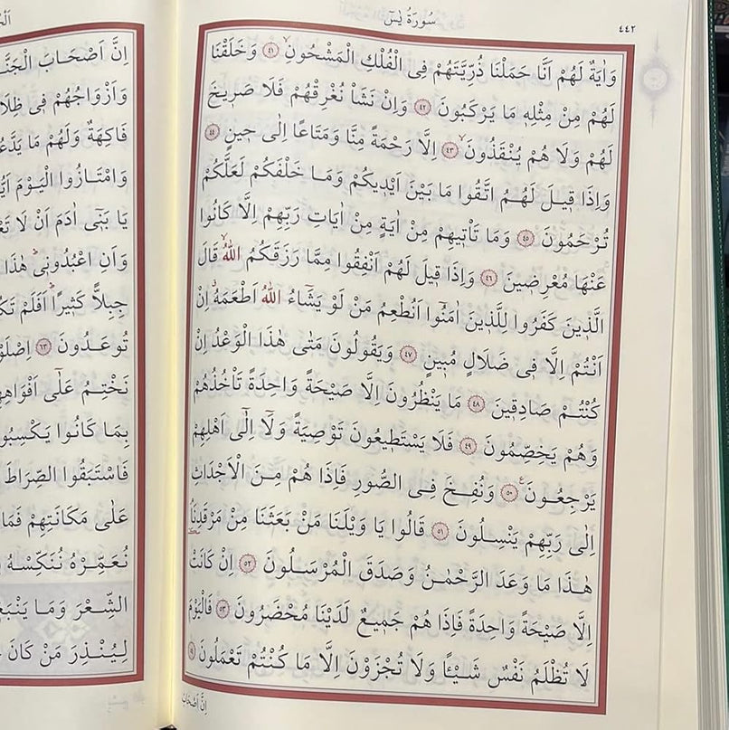 Huge Size Quran with Easy-to-Read Script cover image
