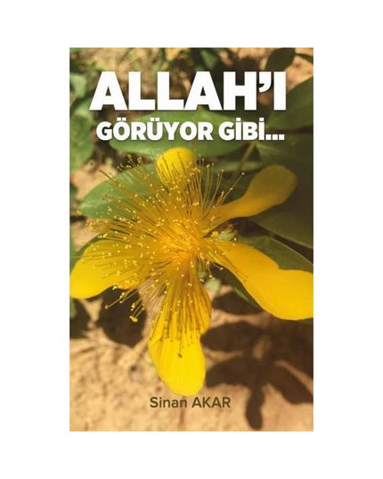 Allah'ı Görüyor Gibi - Sinan Akar kitap kapağı