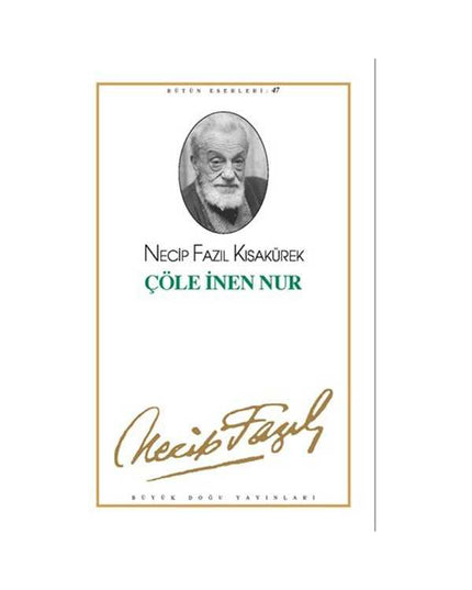 Çöle İnen Nur - Necip Fazıl Kısakürek kitap kapağı