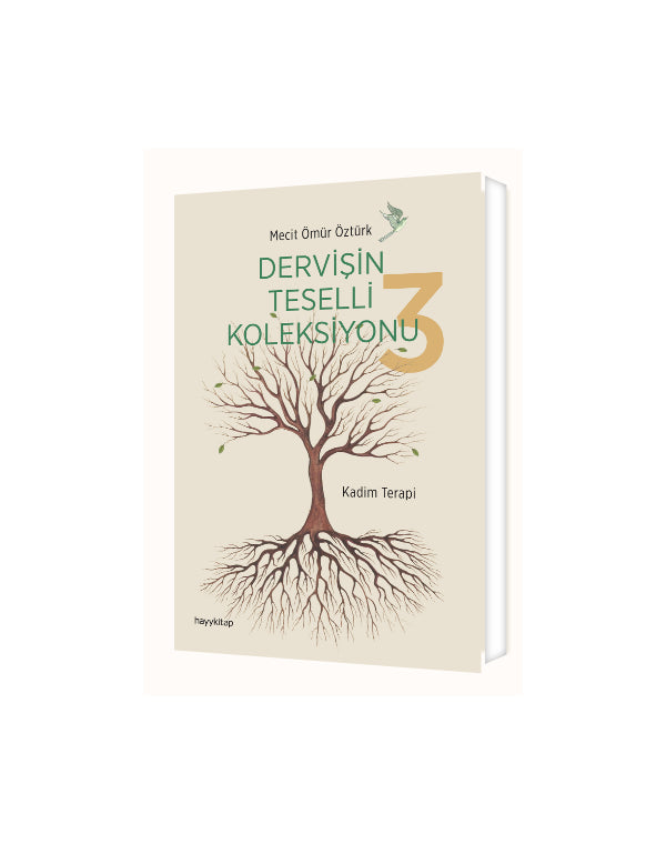 Dervisin Teselli Kolleksiyonu 3 kitap kapağı – Süreyya Kitap
