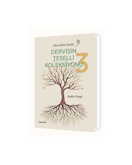 Dervişin Teselli Koleksiyonu 3 kitap kapağı