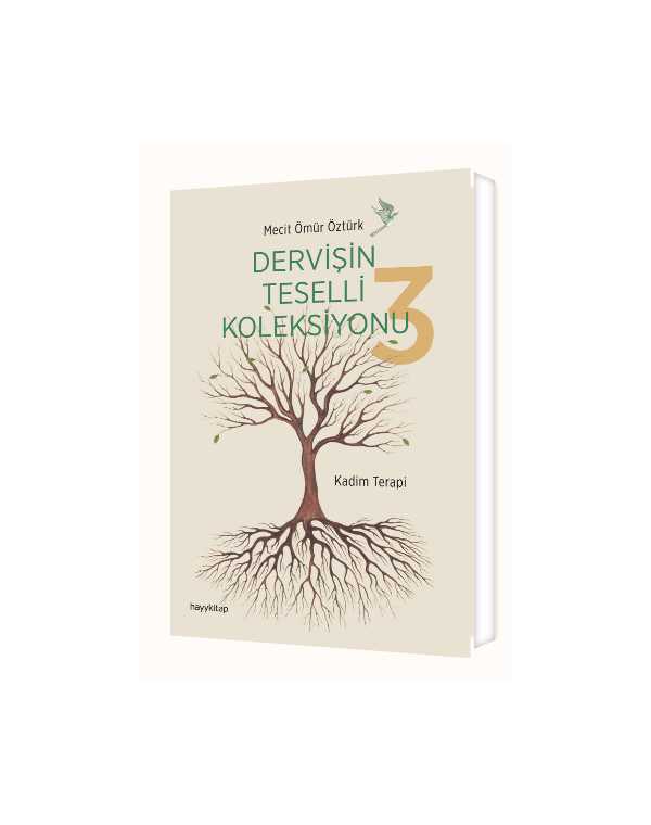 Dervişin Teselli Koleksiyonu 3 kitap kapağı