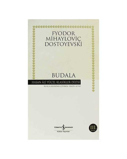 Budala kitap kapağı