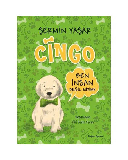 Cingo kitap kapağı