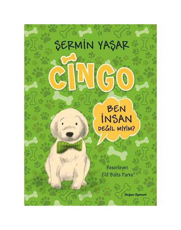 Cingo kitap kapağı