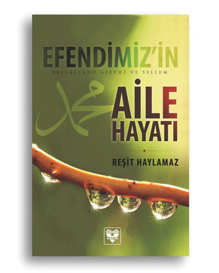 Efendimiz’in (sav) Aile Hayatı kitap kapağı – Dr. Reşit Haylamaz