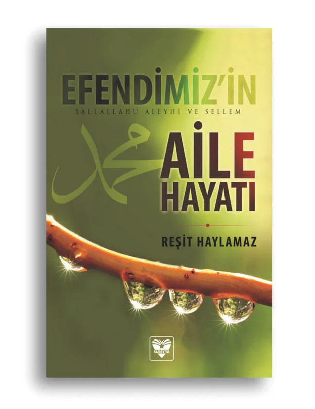 Efendimiz’in (sav) Aile Hayatı kitap kapağı – Dr. Reşit Haylamaz