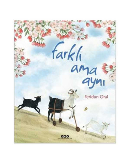 Farklı Ama Aynı kitap kapağı