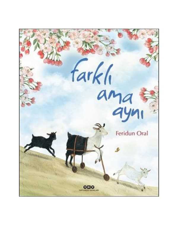Farklı Ama Aynı kitap kapağı