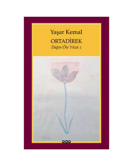 Ortadirek - Dağın Öteki Yüzü - 1 kitap kapağı