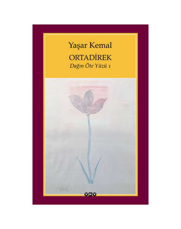 Ortadirek - Dağın Öteki Yüzü - 1 kitap kapağı