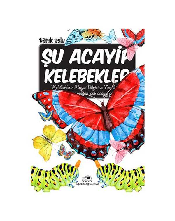 Şu Acayip Kelebekler kitap kapağı