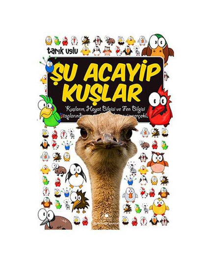 Şu Acayip Kuşlar kitap kapağı