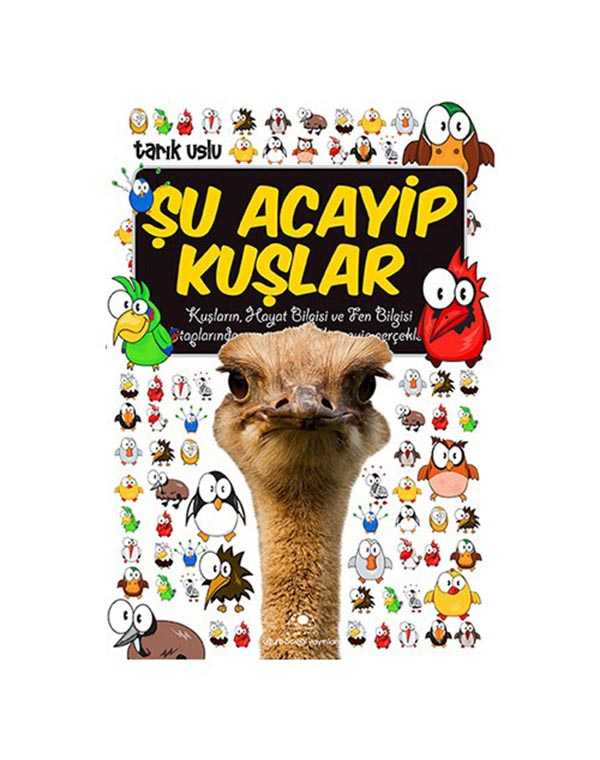 Şu Acayip Kuşlar kitap kapağı