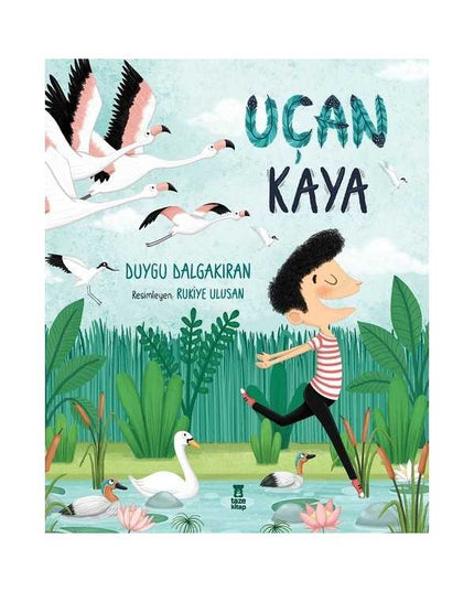 Uçan Kaya kitap kapağı