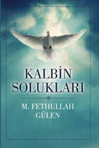 Kalbin Solukları