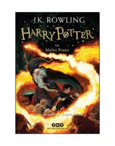 Harry Potter ve Melez Prens