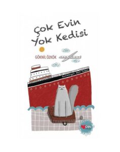 Çok Evin Yok Kedisi