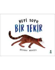 Hepi Topu Bir Tekir
