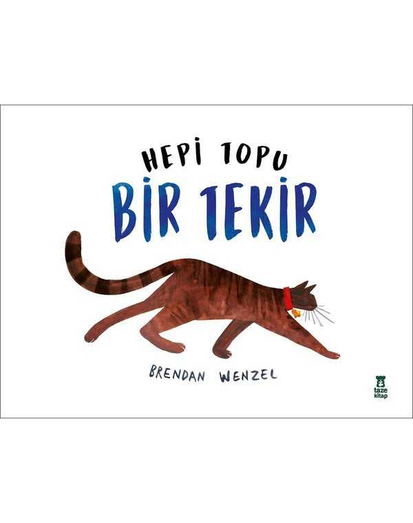 hepi-topu-bir-tekir.jpg