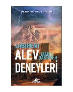 Labirent: Alev Deneyleri