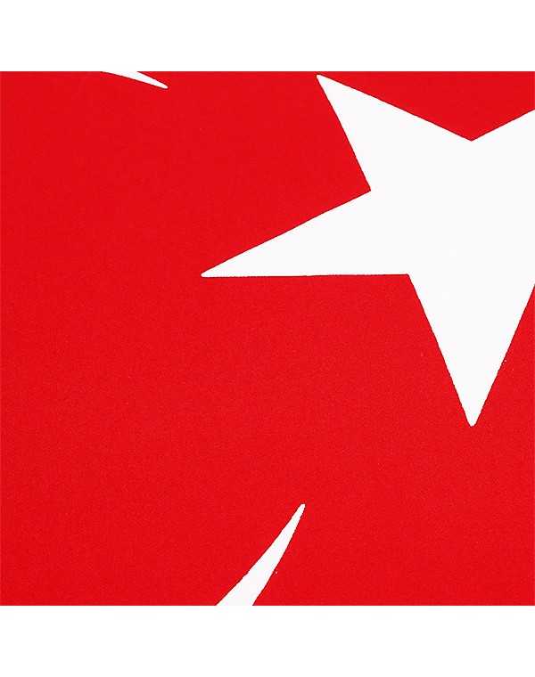turk-bayragi-kumas-2.jpg